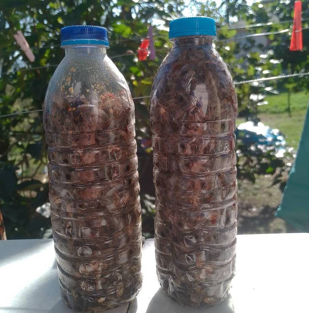 Samsun, Ordu, Sinop, Trabzon istila altında: Gördüğünüz yerde öldürün! Bu işin şakası yok, seferberlik ilan edilmeli! 25